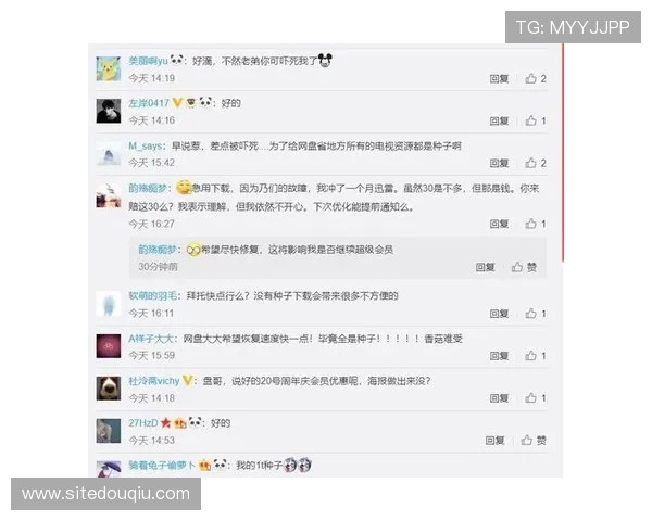 如何快速找到斗球iOS版的官方下载链接和安装指南