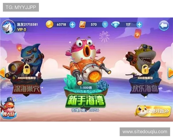 斗球极速版下载安装官网入口,便捷获取最新版本游戏下载安装指南