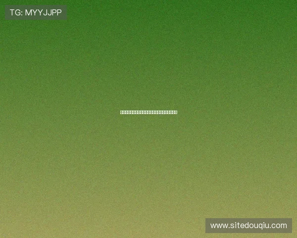 斗球电脑网页版登录成功后常见操作流程及注意事项