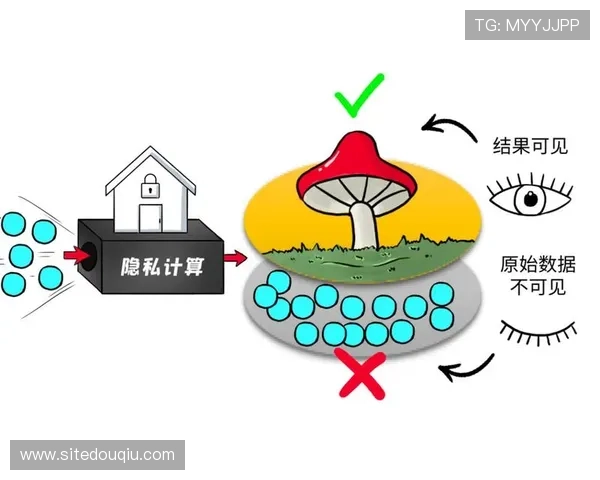 斗球直播app下载电脑端安全性分析，保障用户隐私与数据安全