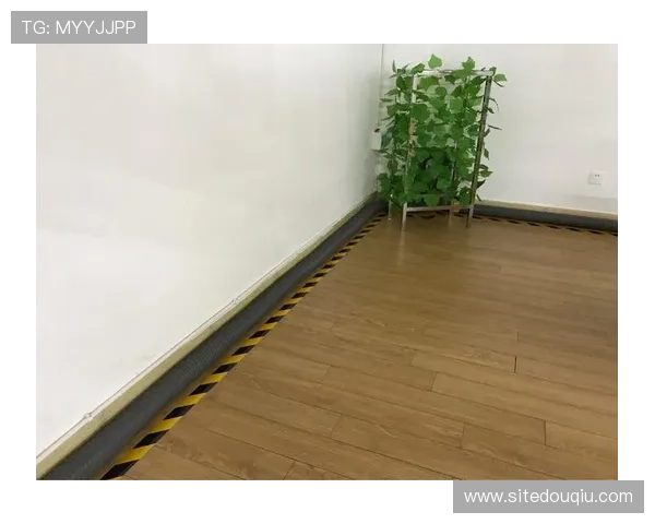 斗球直播app官网版亮点在哪分析平台在内容丰富度和用户粘性提升方面的亮点