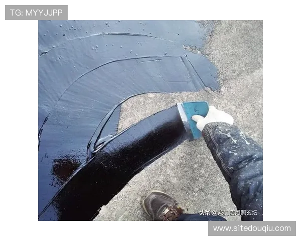 苹果用户必备斗球app免费版下载指南，快速安装零难度